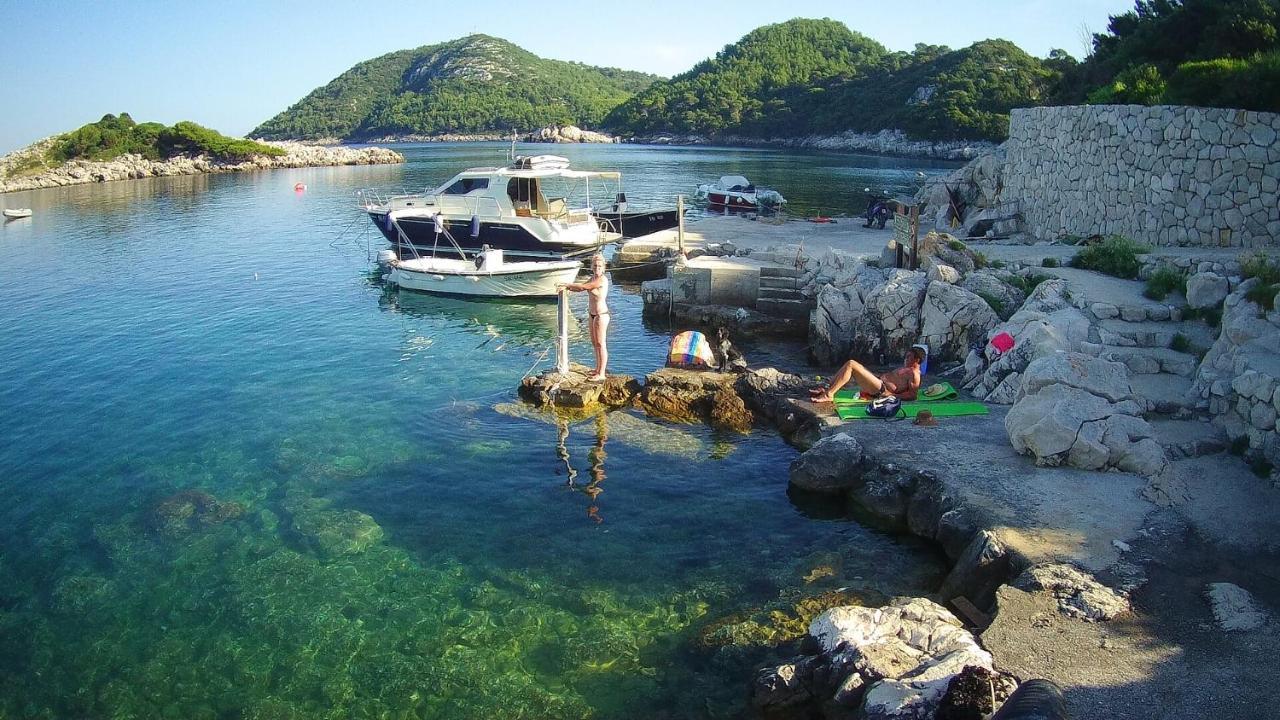 Villa Franic 사플루나라 외부 사진