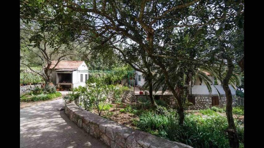 Villa Franic 사플루나라 외부 사진