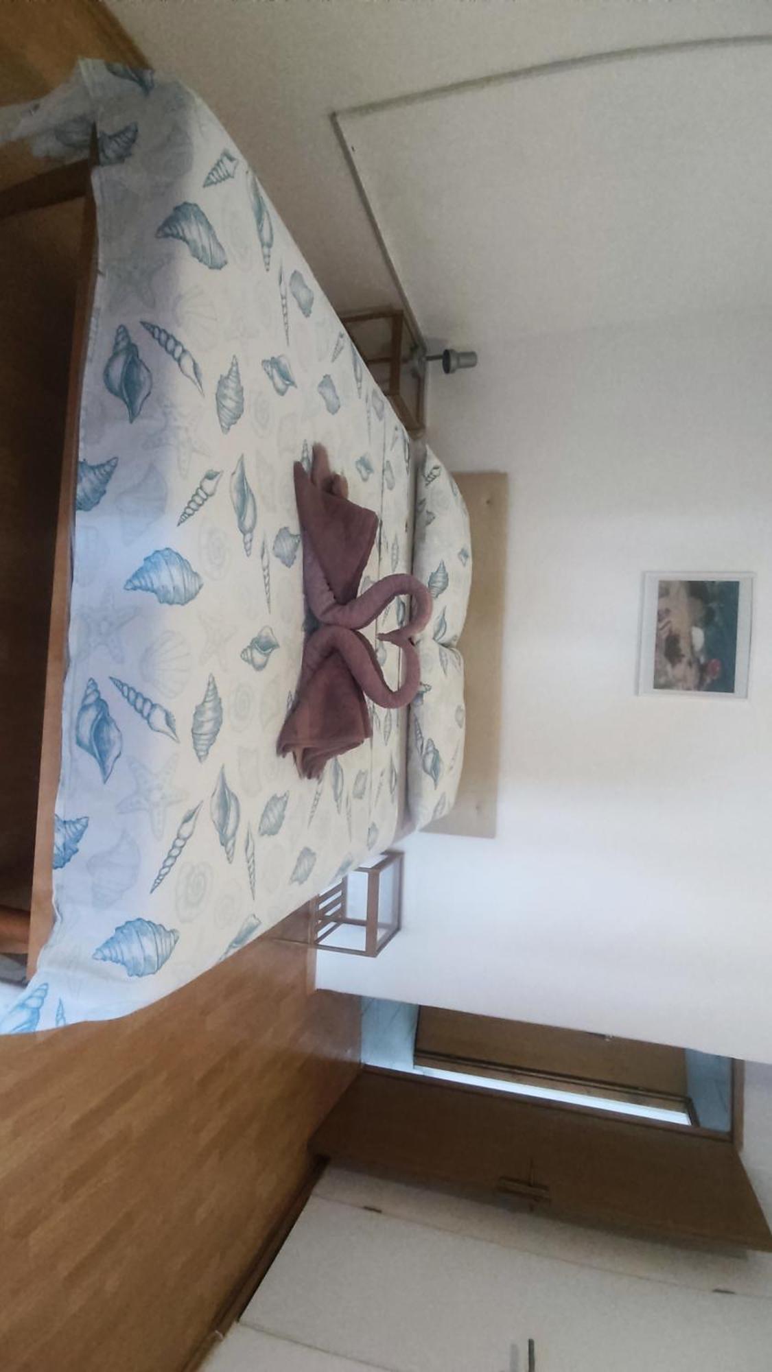 Villa Franic 사플루나라 외부 사진